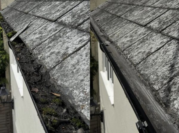 Gibbs Group - Gutter Debris Clearance