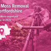 Roof moss removal in Hertfordshire with pink overlay showing professional roof cleaning service